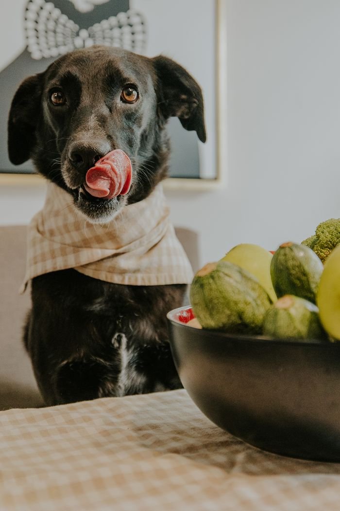 Adorable dog in a scarf licking lips near a bowl of green fruits and vegetables.